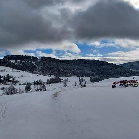 Schwarzwaldblick Titisee-Neustadt Exterior foto