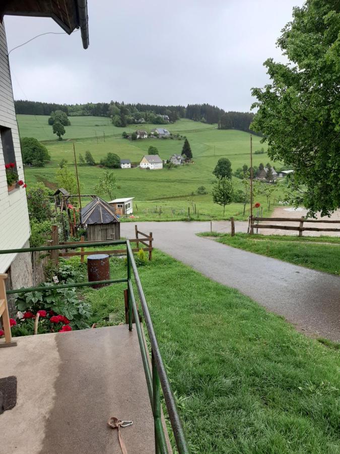 Schwarzwaldblick Titisee-Neustadt Exterior foto