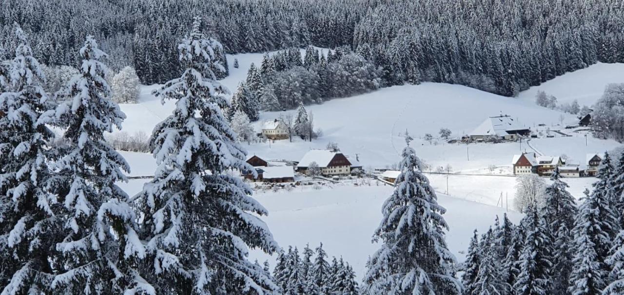 Schwarzwaldblick Titisee-Neustadt Exterior foto